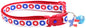 Star Spangled Breakaway Cat Collar